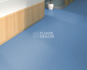 Tarkett iq Melodia 2628 фото 2 | FLOORDEALER